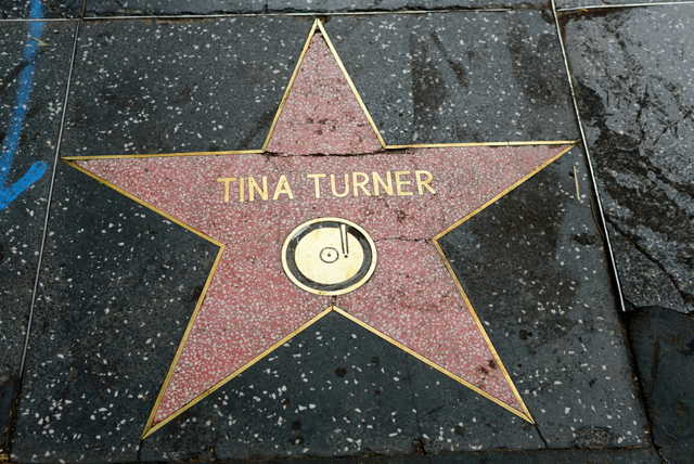 tina turner